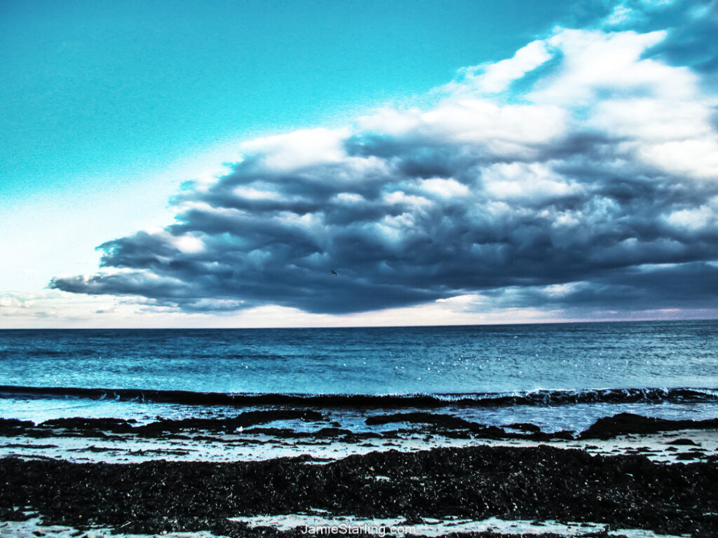 A winter beach scene with dark clouds over the ocean and seaweed on the shore, evoking calm and deep reflection.