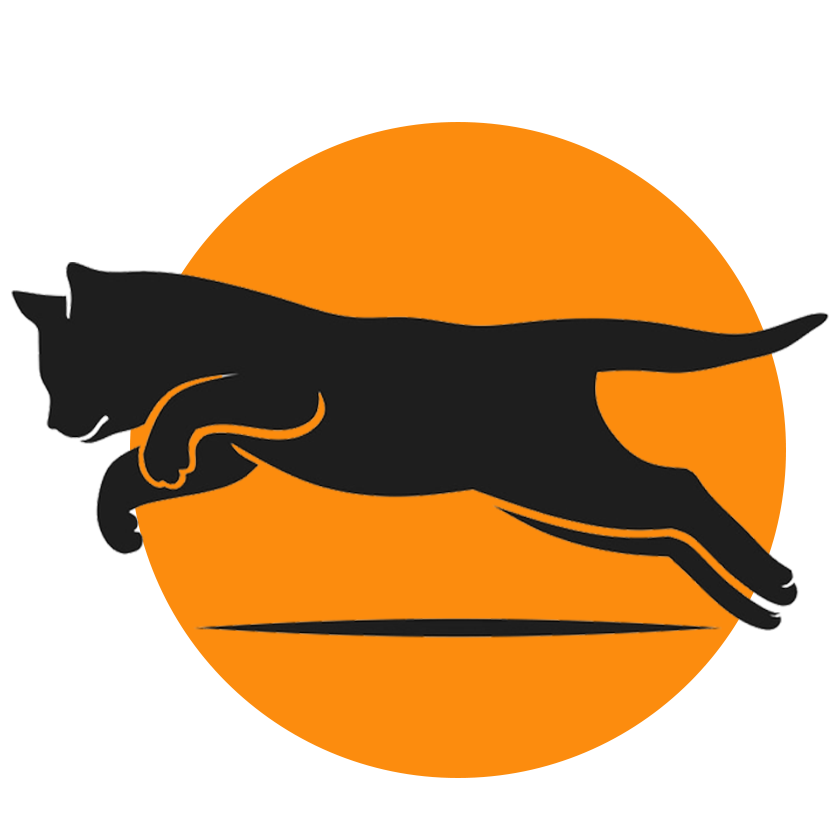 LeapingCatLogo LeapingCatLogo